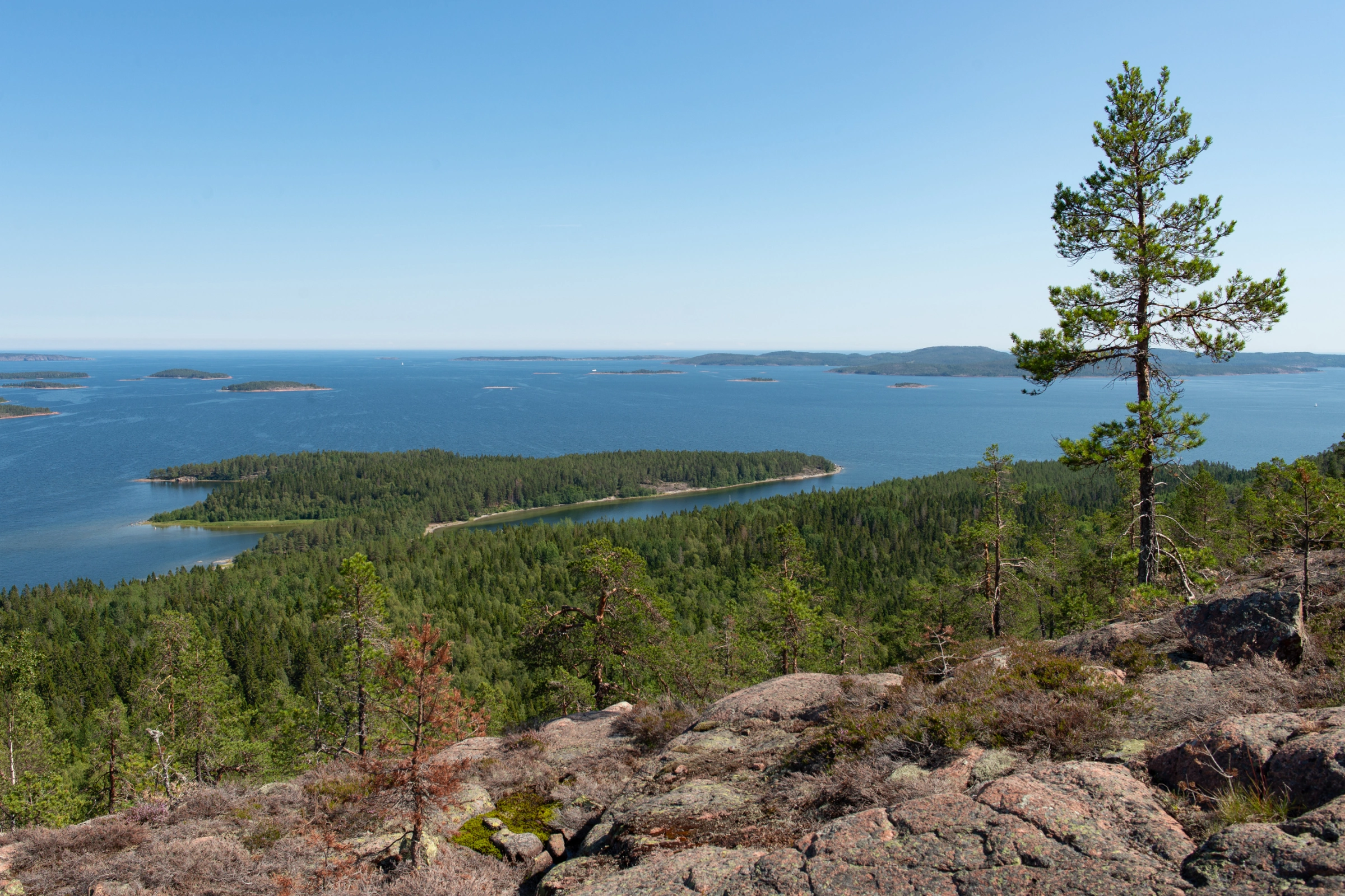 06_Sweden's_High_Coast[1].webp